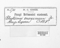 Image Associated With the Occurence